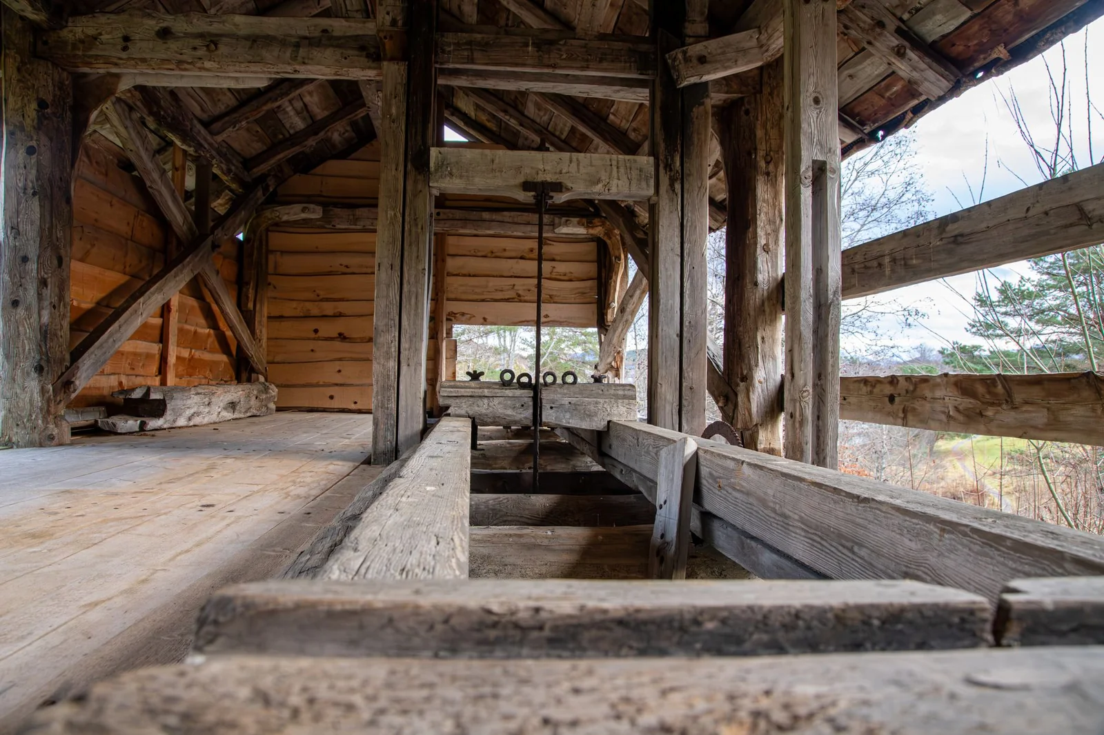 Charpente en bois massif local dans une halle de scierie française